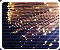 Photo of Fibre optic cable